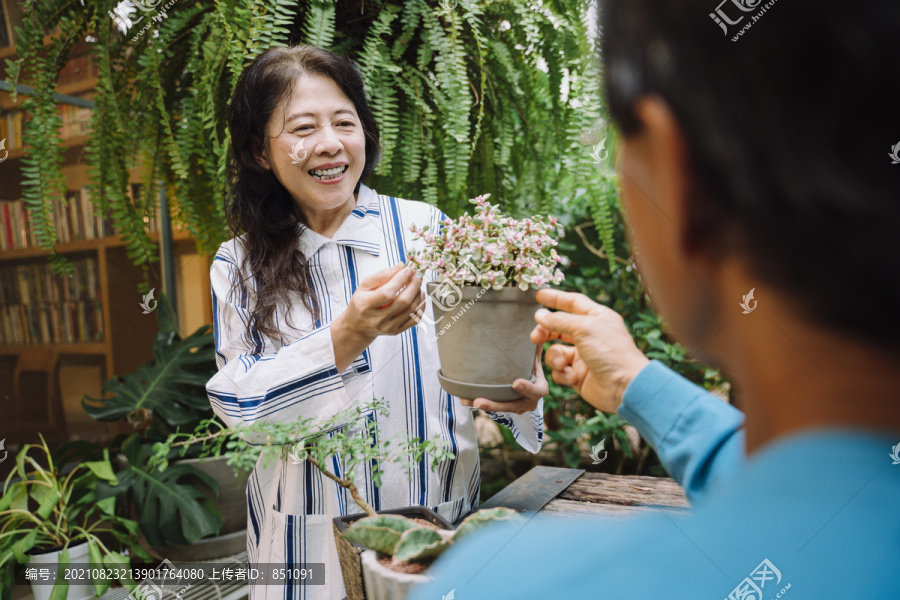 和丈夫在花园里照料植物的亚洲老妇人。