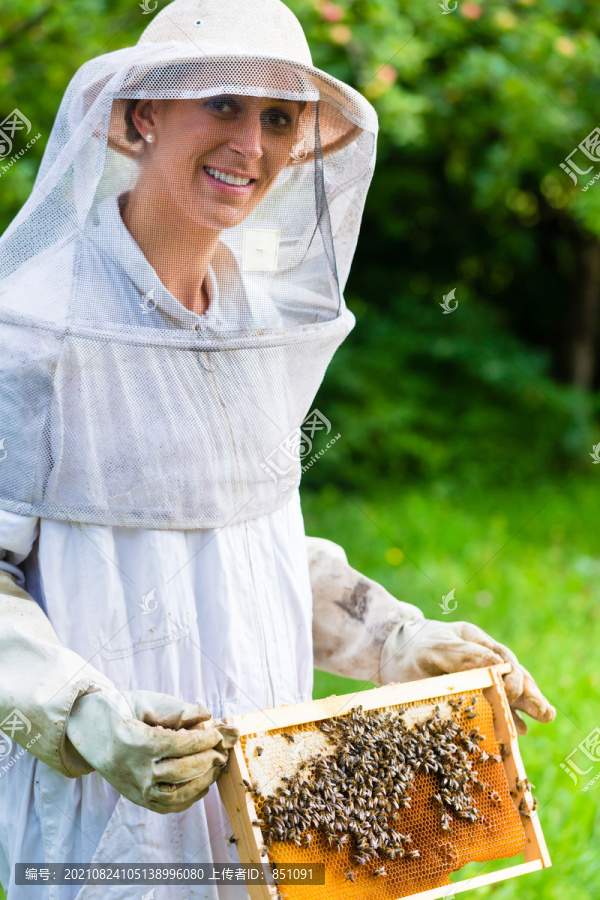 养蜂人控制养蜂场和蜜蜂