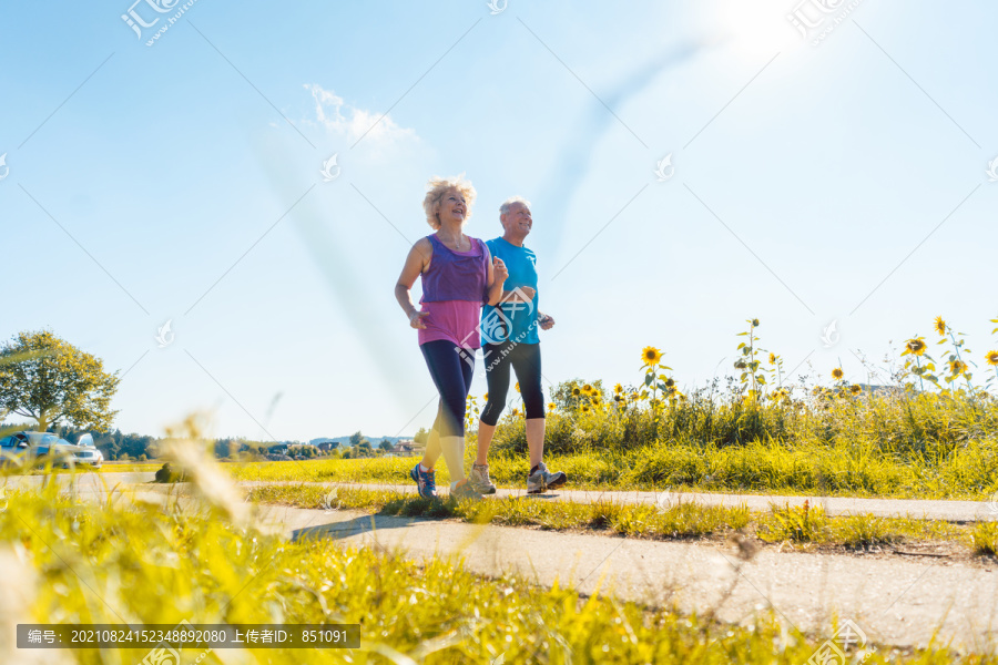 两位健康的老年人在夏日晴朗的蓝天下在乡间小路上慢跑的全长后视图