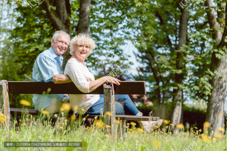 一对浪漫的老年夫妇坐在长椅上享受大自然的后视图，这是公园里一个宁静的夏日