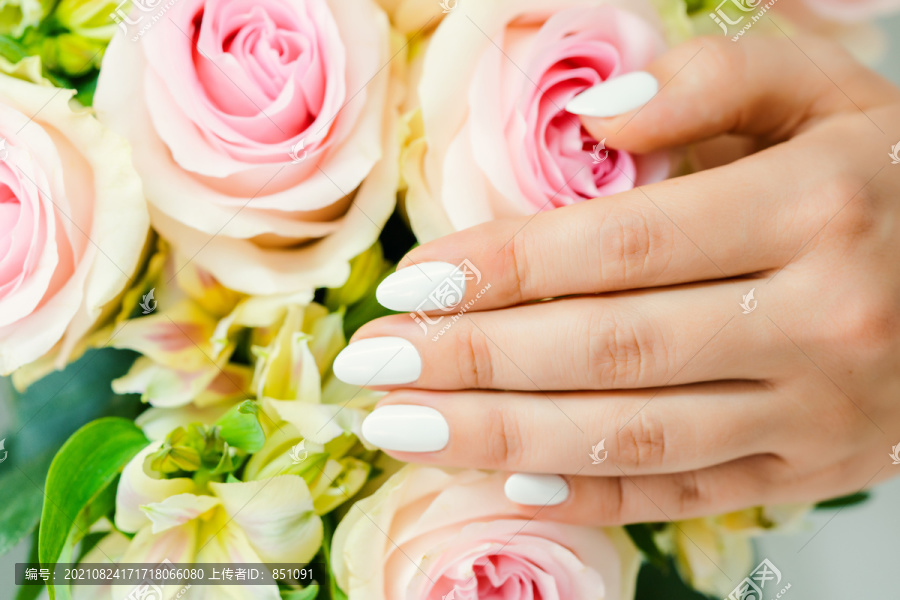 以玫瑰花上的白色指甲为背景的年轻女子的指甲