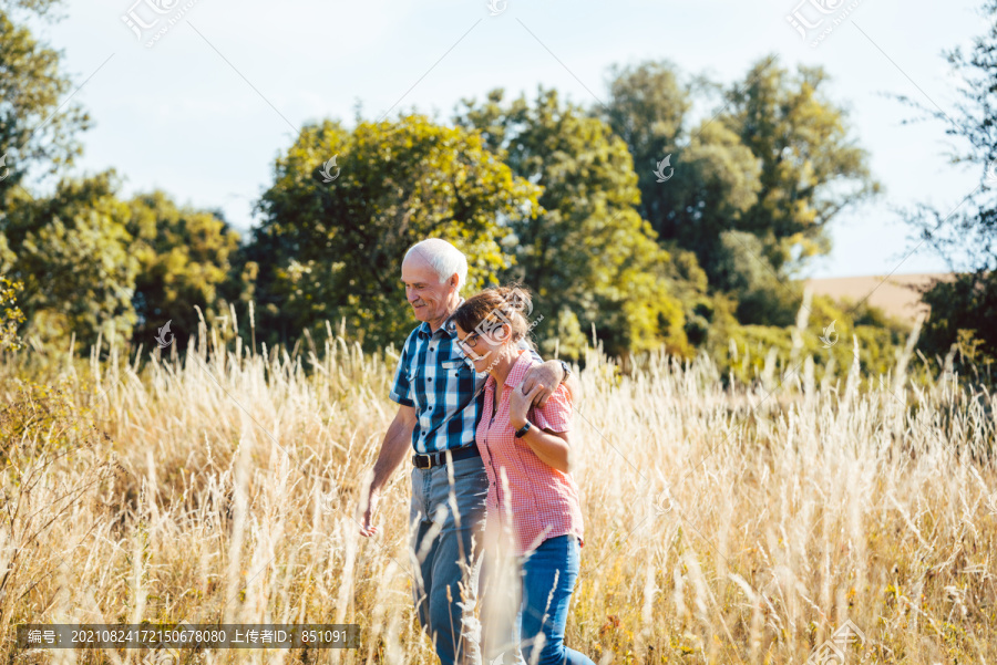 老人们在草地上散步，享受着自己和大自然的乐趣