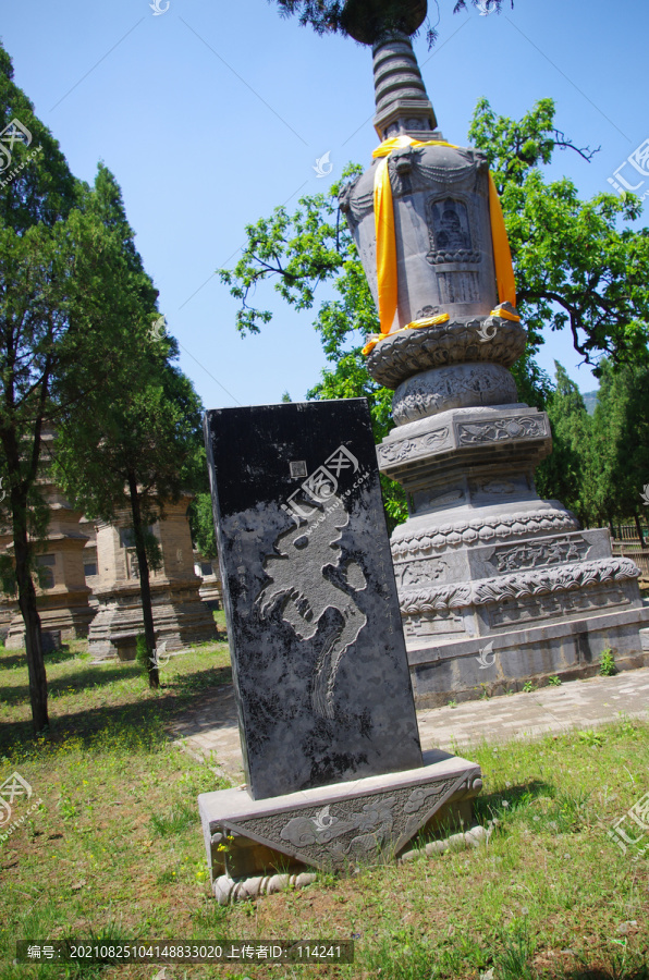 河南登封嵩山少林寺景区塔林