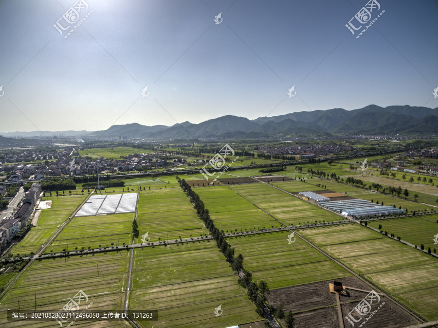 浙江省东阳市马上桥村农田航拍