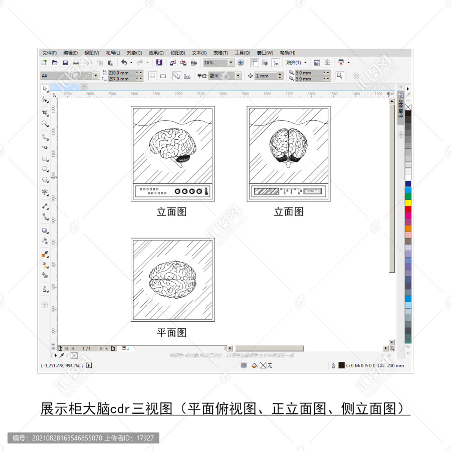 医学展示大脑cdr平面图立面图