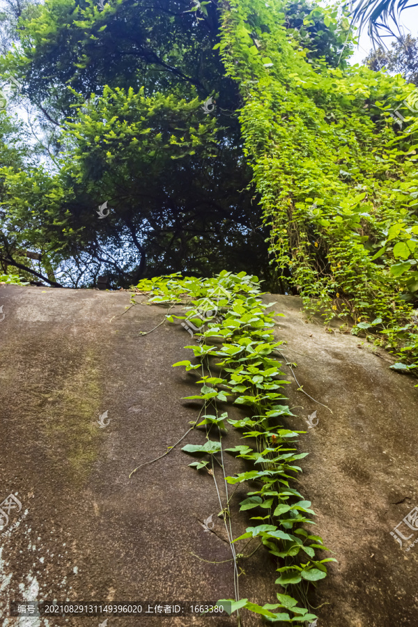 云洞岩