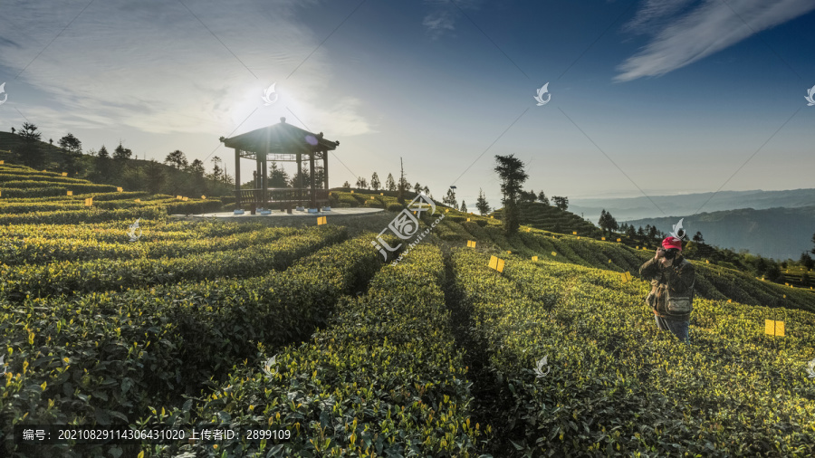 四川宜宾屏山大乘茶山自然景观