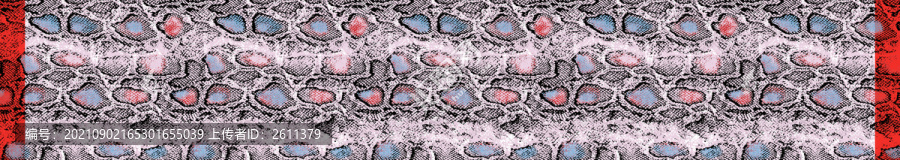 彩色蛇纹长巾类印花图