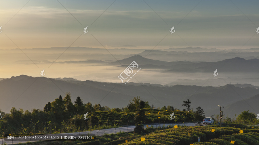 薄雾缭绕山脉日出茶山风光