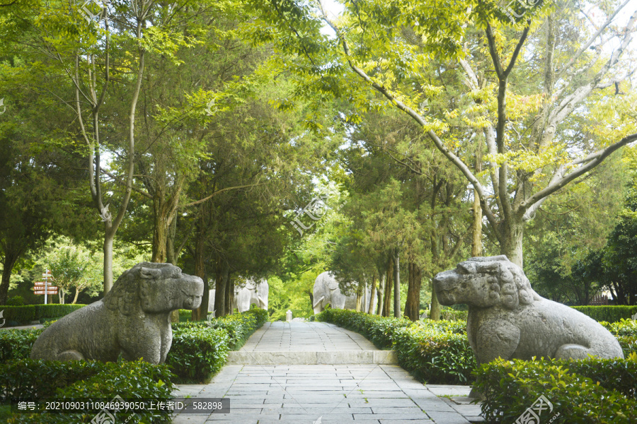 初秋明孝陵石像路