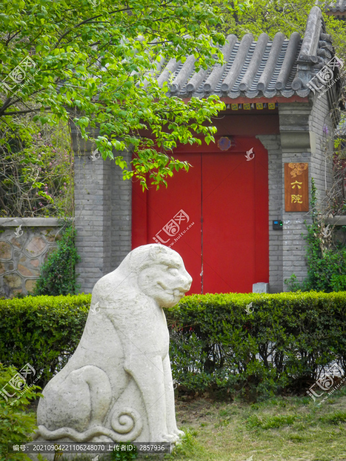 北京大学静园六院门前石虎