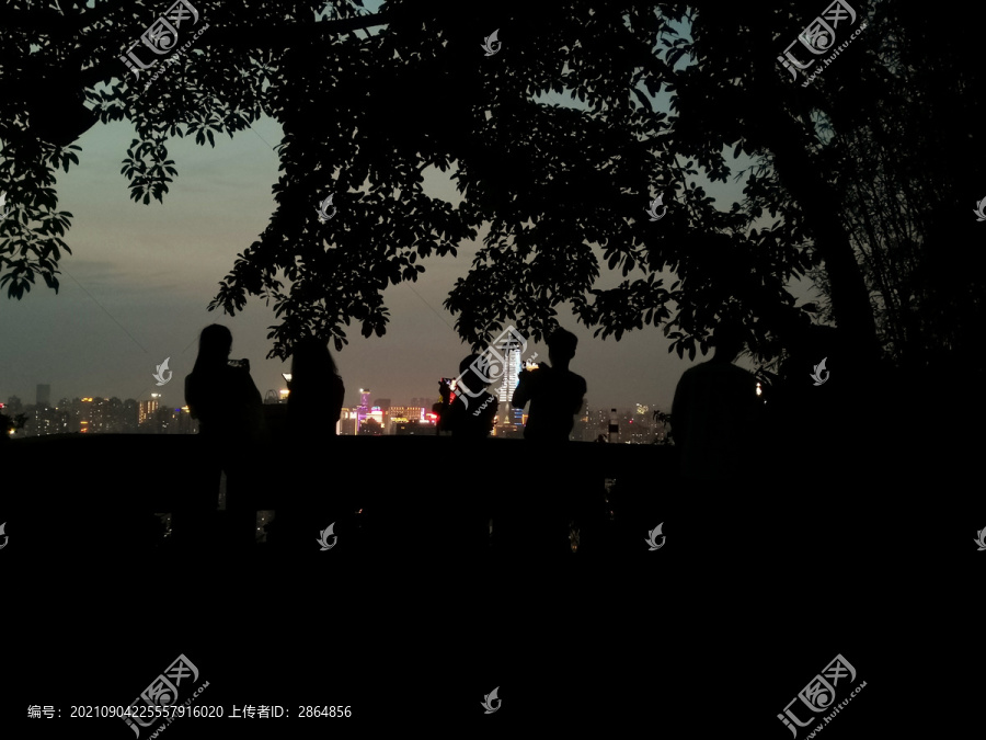 重庆鹅岭公园夜景