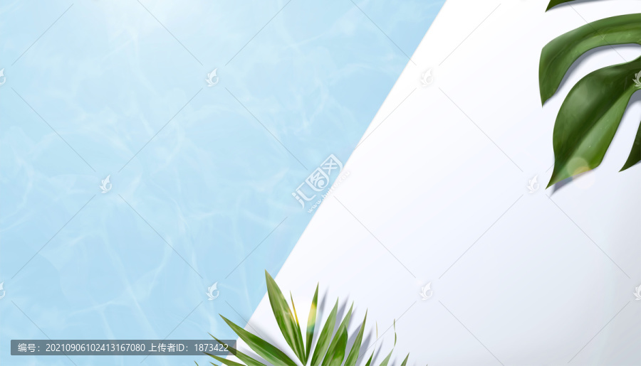 夏季游泳池畔三维写实背景