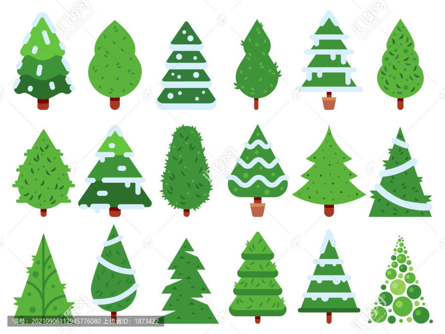 圣诞节冷杉植物绘图集合