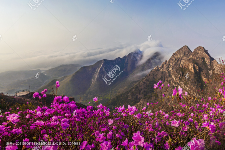 大连大黑山