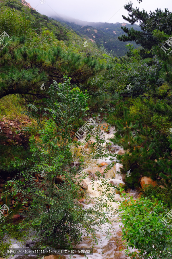 山里洪水