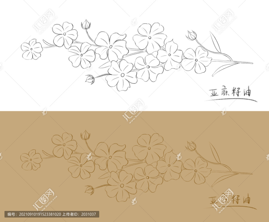 亚麻籽油花卉线描