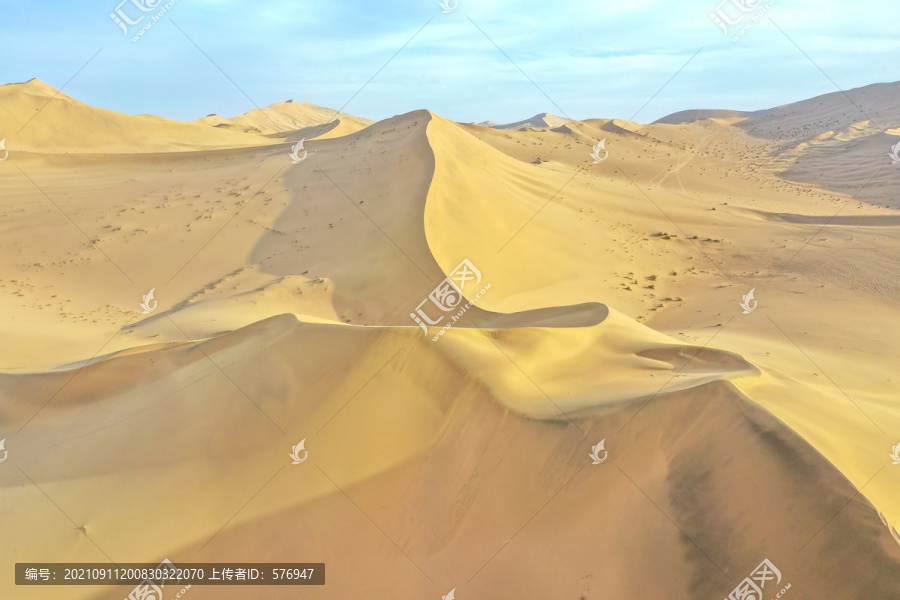 沙漠脊梁