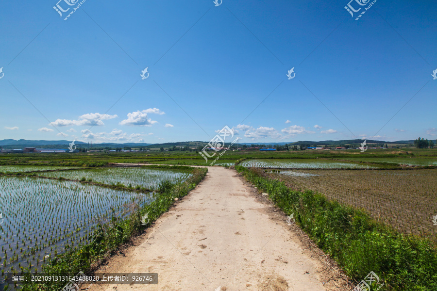 田间路
