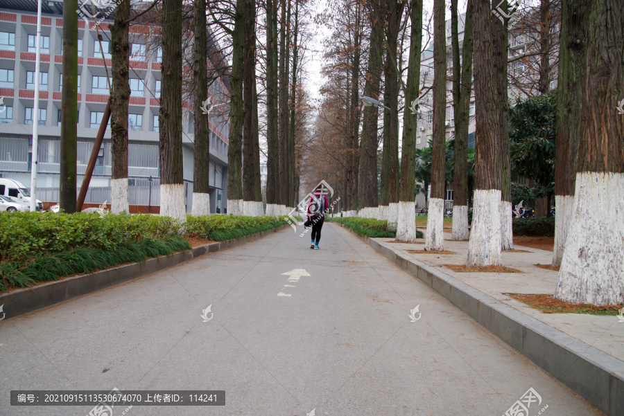 湖北武汉大学校园小路