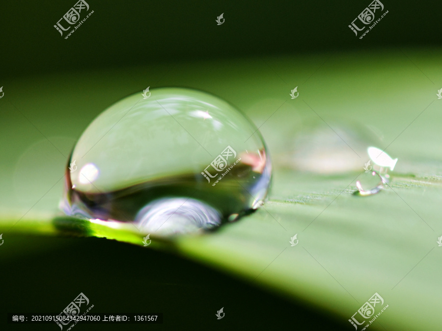 雨滴