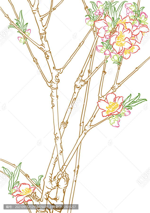 桃花花卉手绘线稿免抠图