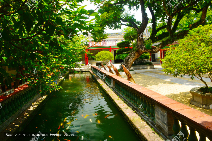 水池风景