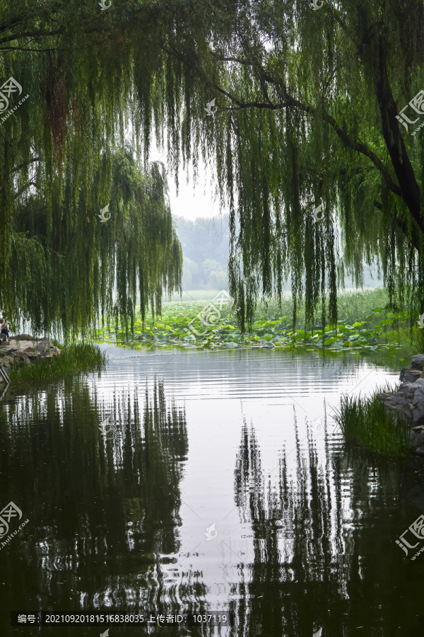 圆明园风景