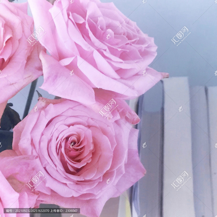 粉玫瑰书桌