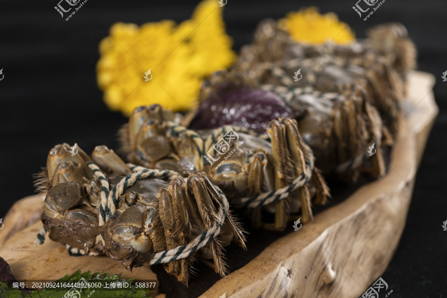 阳澄湖大闸蟹湖蟹