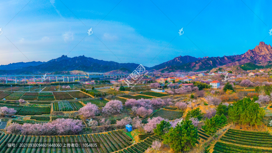 崂山庙石村风光