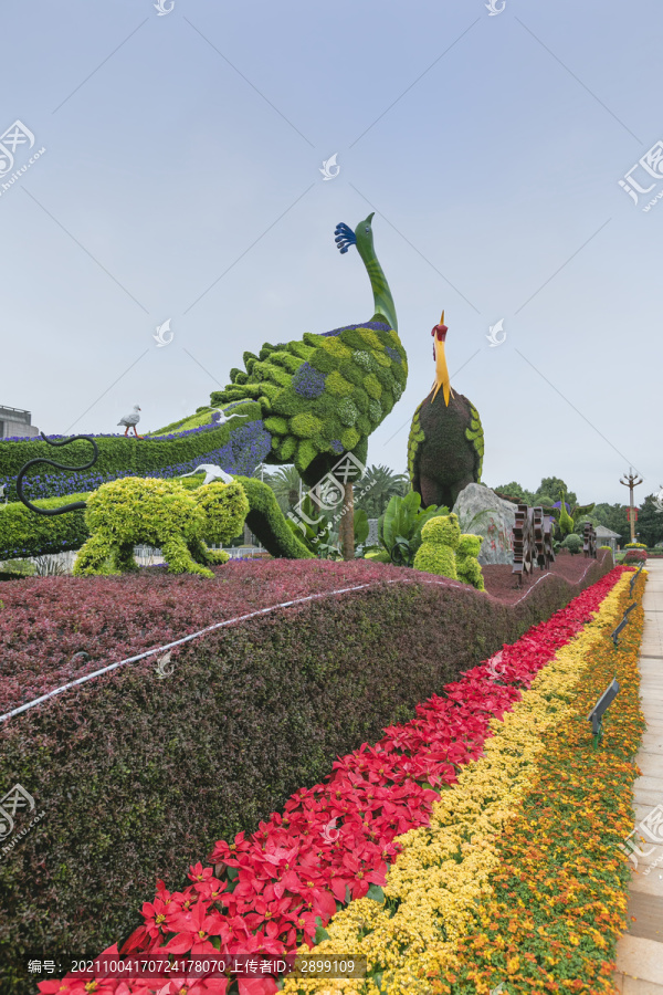 云南昆明国庆节植物造型立体花坛