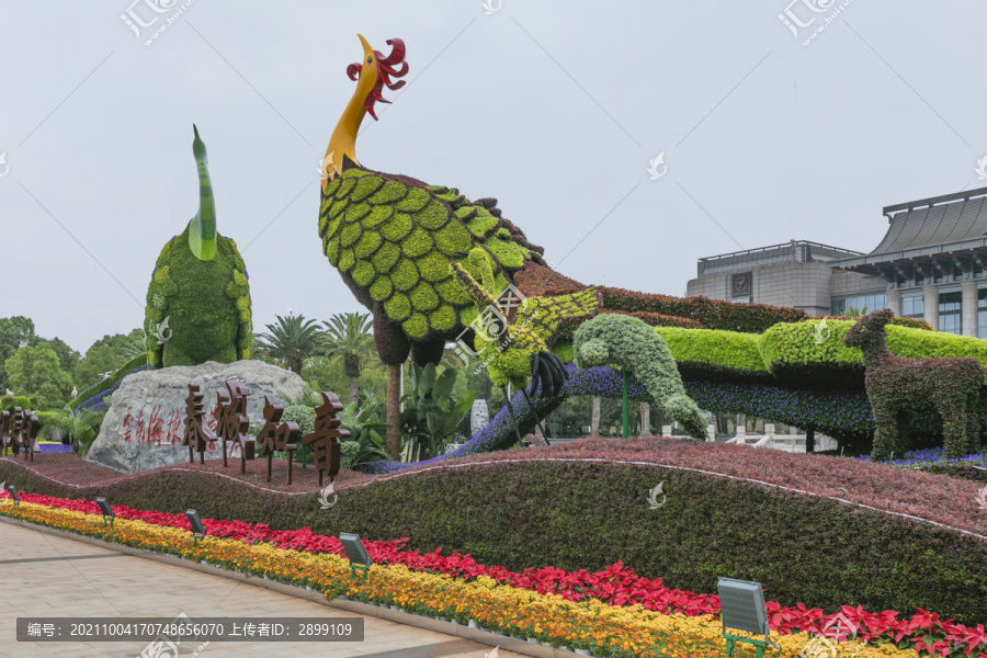 云南昆明国庆节植物造型立体花坛