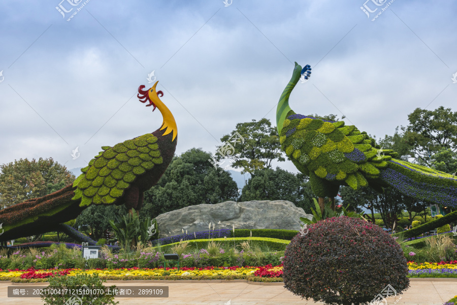 蓝天白云立体花坛城市景观