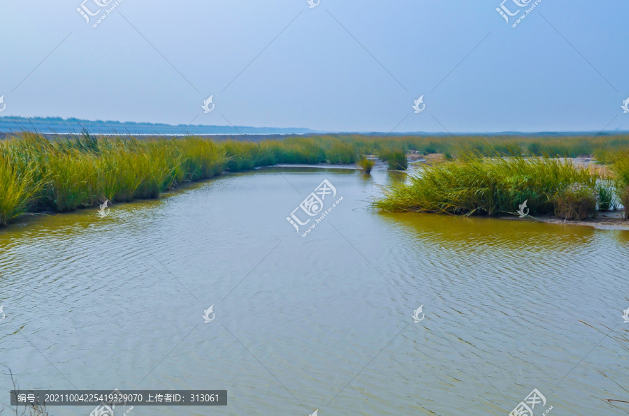 上海崇明东滩湿地