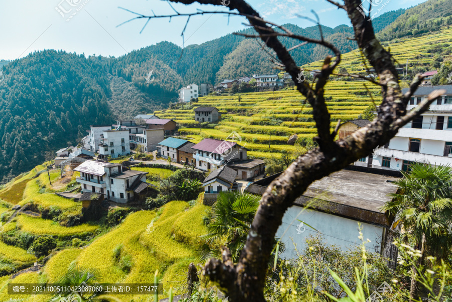 浙江风景高山梯田