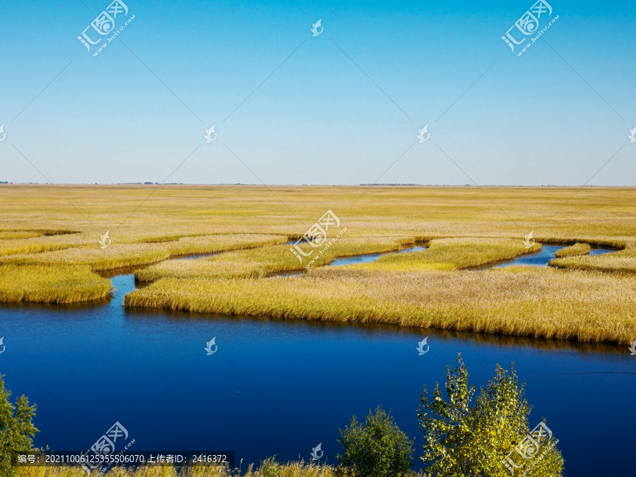 湿地风光美