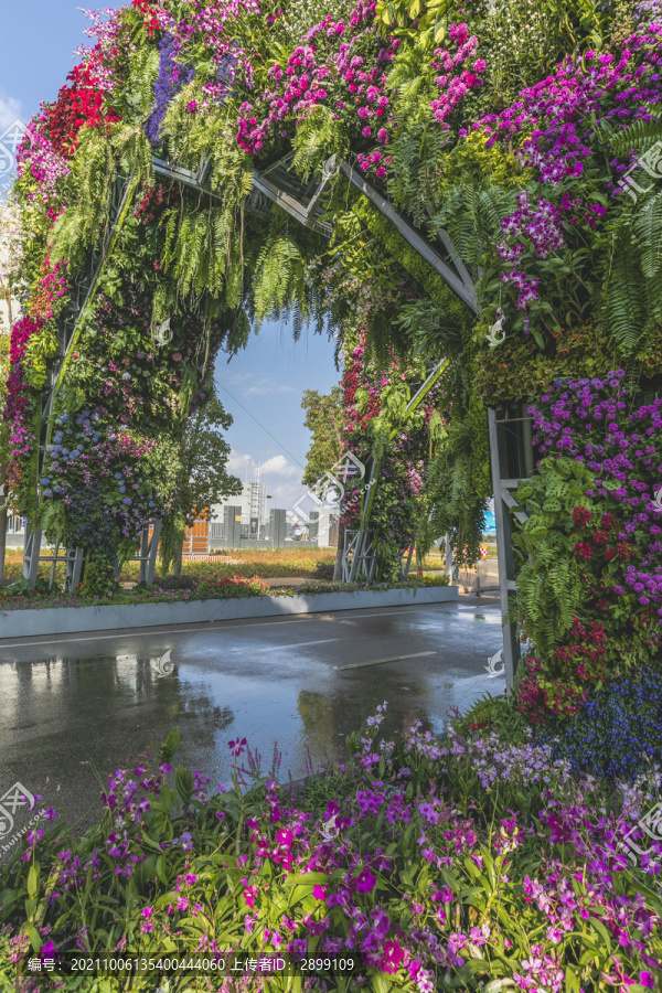 滇池国际会展中心花卉造型大门