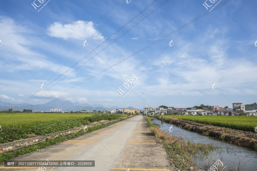 乡村风景