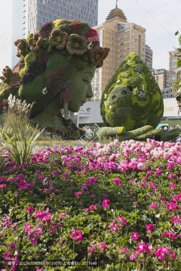 昆明花卉造型立体花坛城市景观