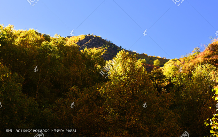 原生态高山