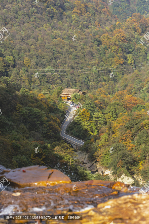 蜿蜒道路路与秋色