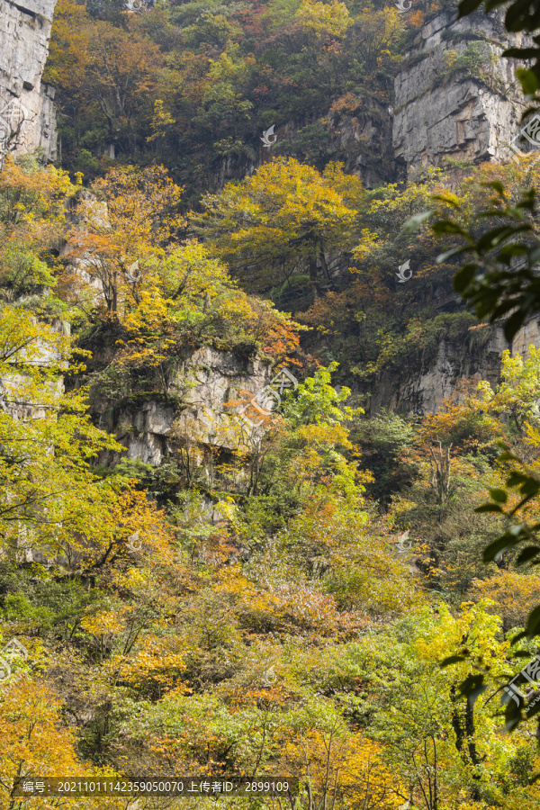 高山峭壁秋色自然景观
