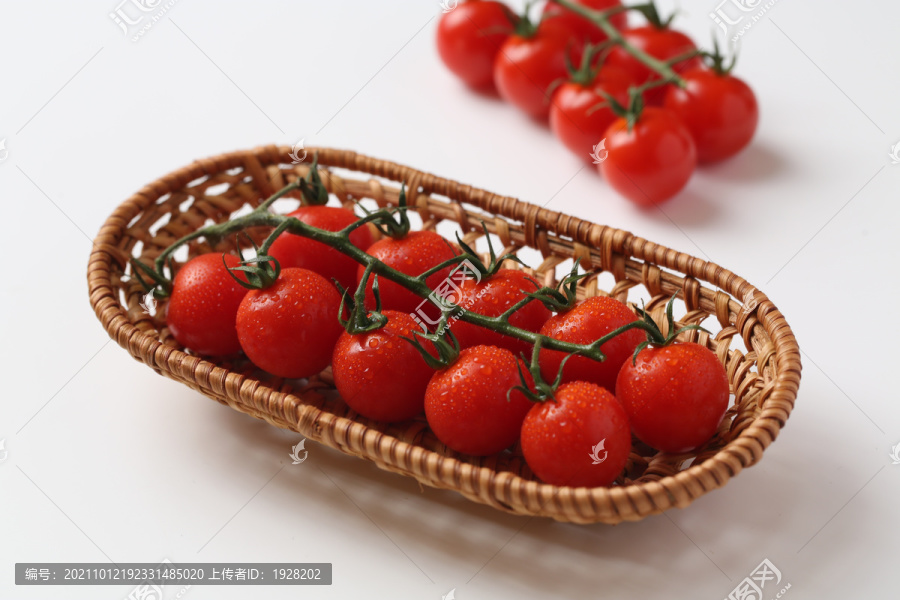 串收番茄