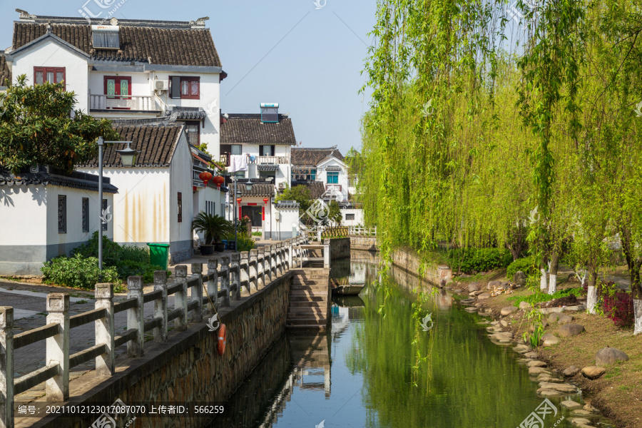 临湖镇柳舍村