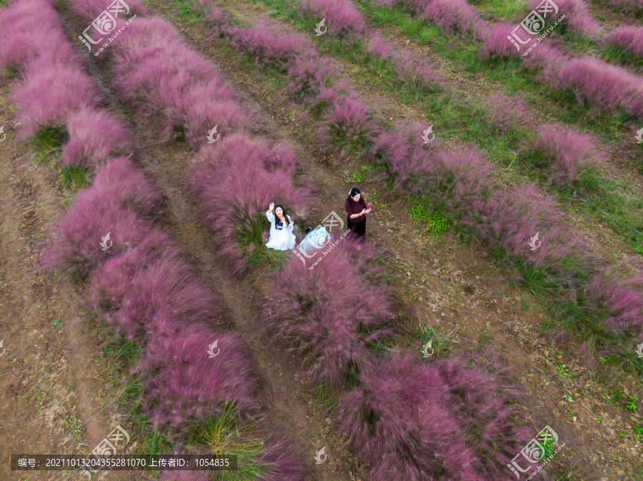 山东即墨台子村