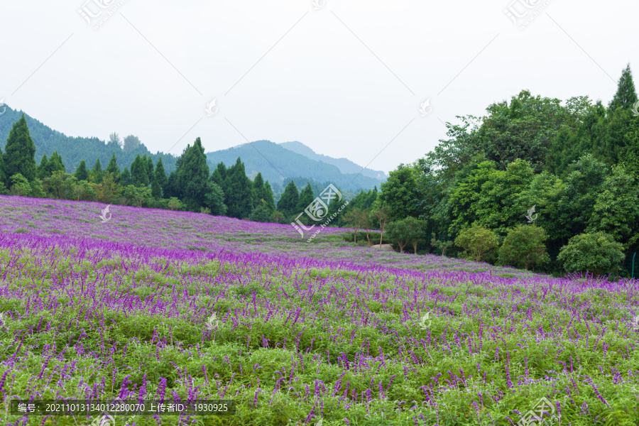 四川德阳中国香山旅游景区