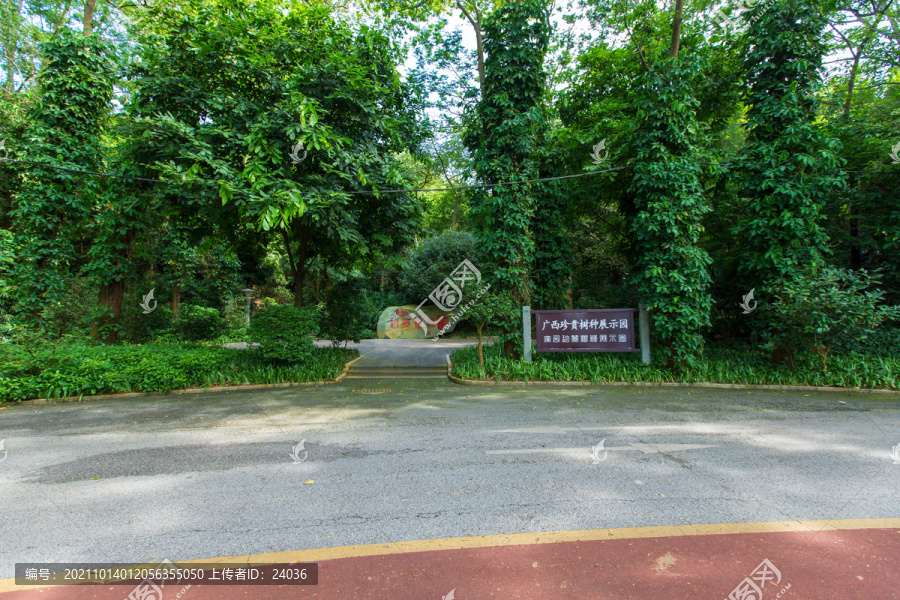 青秀山风景区珍贵树种展示园