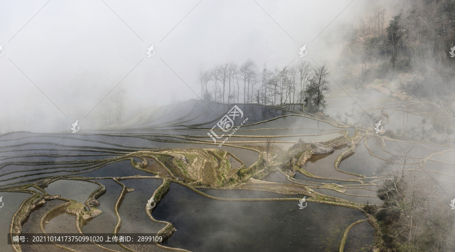 云南元阳水墨梯田自然景观