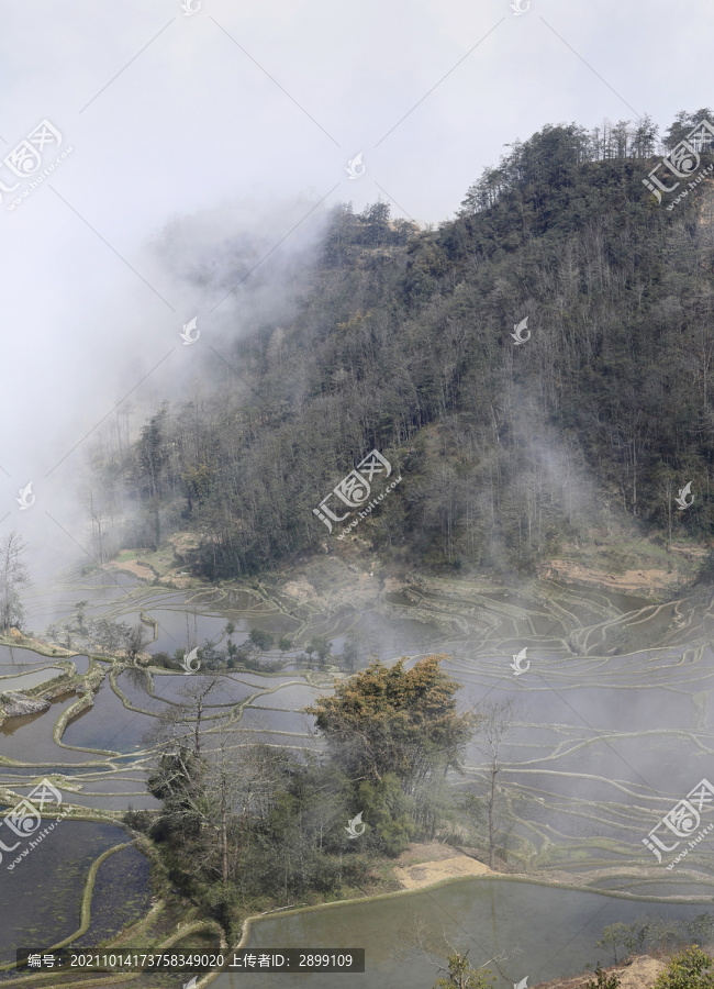 云南元阳水墨梯田自然景观